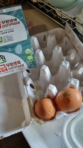 풀무원 1+등급 신선가득달걀 15개입 (대란, 780g)