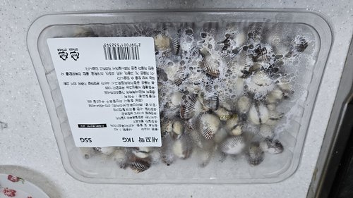 [생물][국산] 남해안 새꼬막 (1kg)