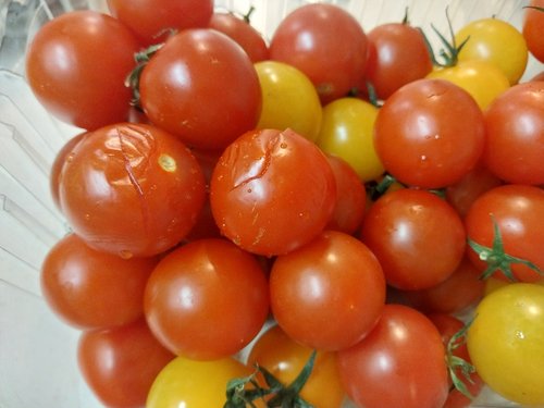 칵테일 토마토 스페셜 (2kg/팩)