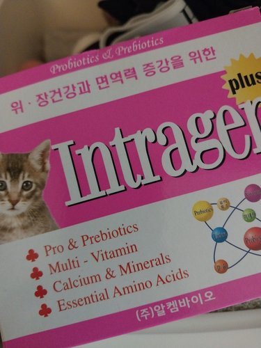 인트라젠 강아지 고양이 유산균 30포