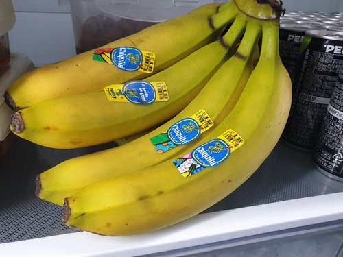 [코스타리카산] 치키타 바나나 1.2kg내외