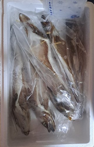 [오초록] 속초 반건조 코다리(특) 6미 - 미당 50cm 내외, 320g내외