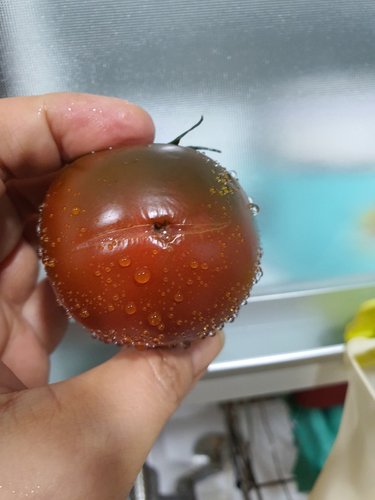 맑은청 강원 흑토마토 700g/팩
