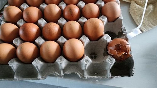 신선한 계란 30개입 (특란, 1800g)