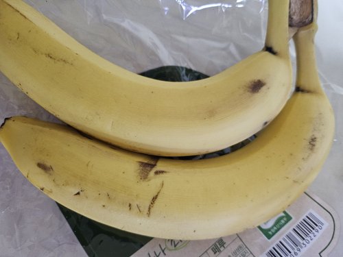 Dole(돌) 유기농 바나나(1kg/봉)