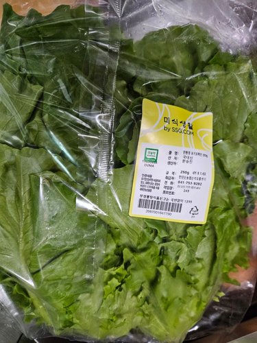 [당일수확발송] 무농약 유럽 샐러드 채소 1kg 모듬쌈채소