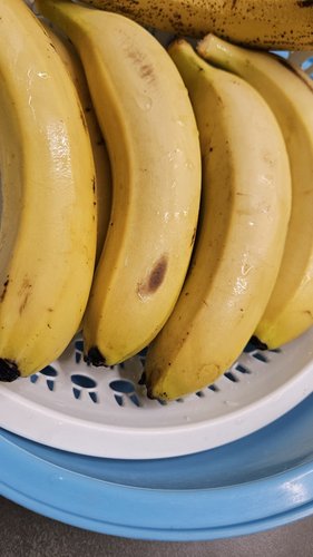 필리핀 고산지 감숙왕 바나나 (1kg/봉)