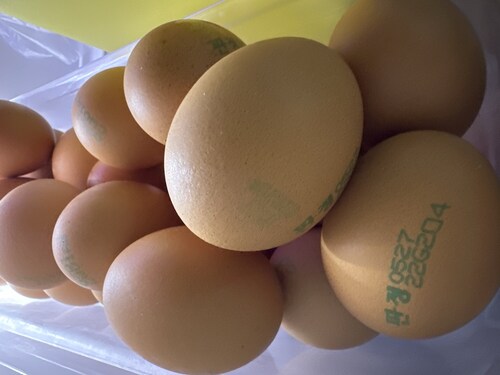 신선한 계란 30개입 (특란, 1800g)