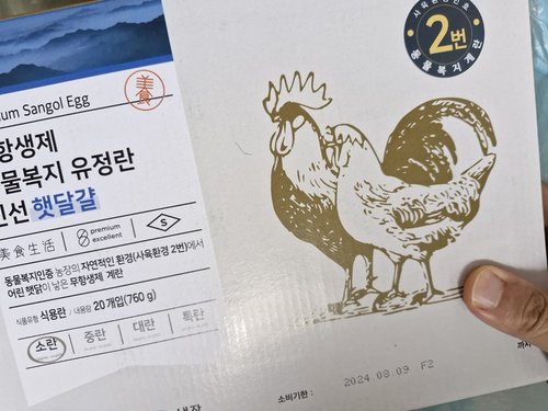[2번사육]무항생제 동물복지 유정란 신선햇달걀 20입