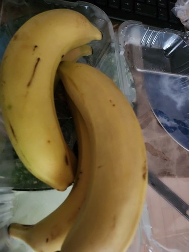Dole(돌) 유기농 바나나(500g/팩)
