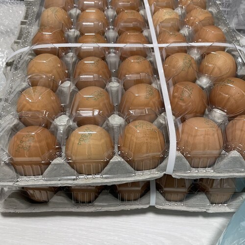 신선한 계란 30개입 (대란, 1560g)
