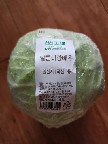 달콤이 양배추 (통)