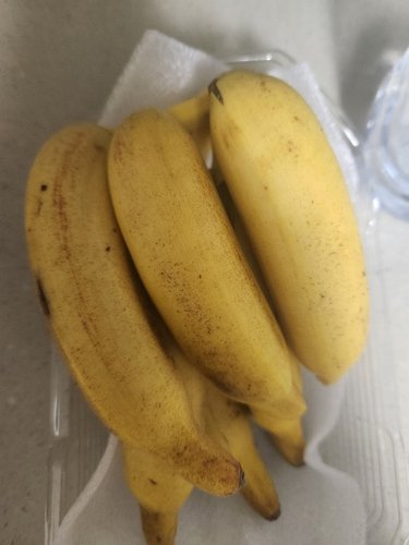 [필리핀산] 로즈 바나나 (400g내외)
