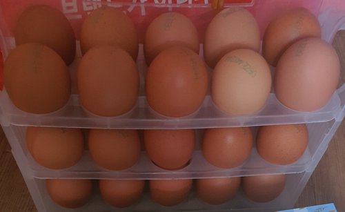 주방 30구 계란 투명 보관함 달걀트레이 보관함