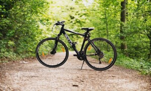 라이딩 자전거 브랜드대전 생활/로드/MTB 