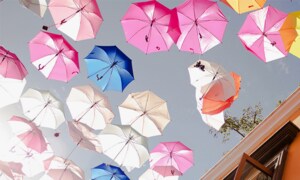 DAKS & Jillstuart Umbrella Fashion Accessories