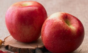 청송 꿀 사과 선물세트 산지직송 껍질째 먹는 맛있는 청송 사과