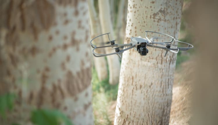 Drones
