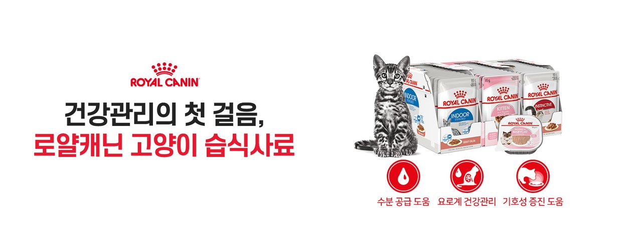 고양이_습식