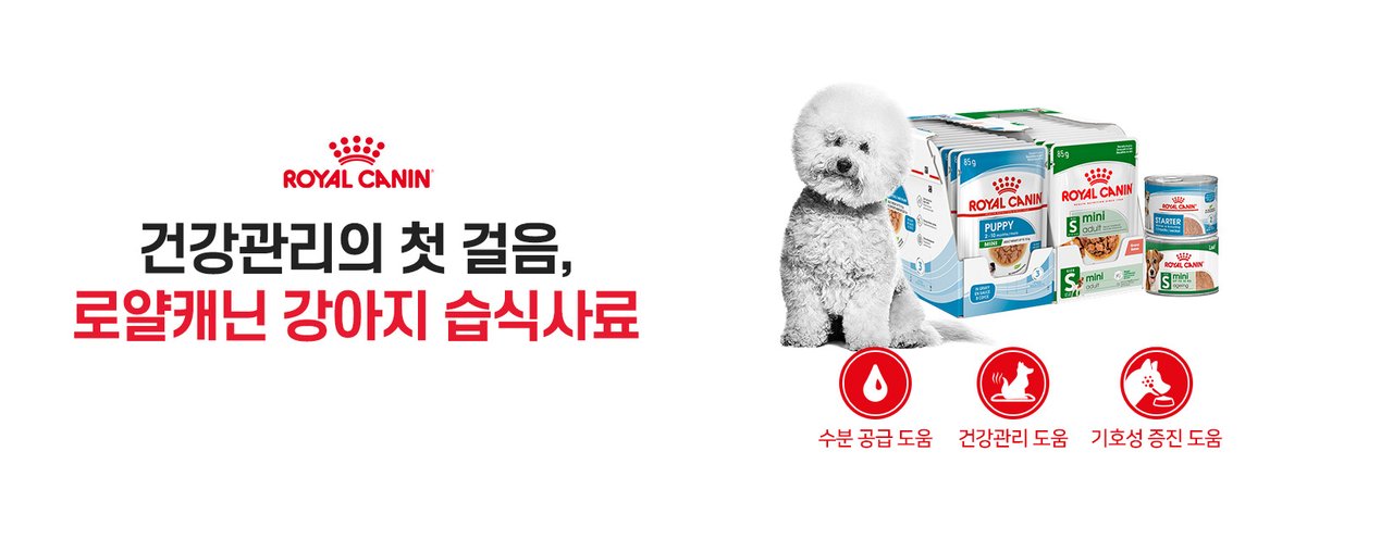 강아지_습식