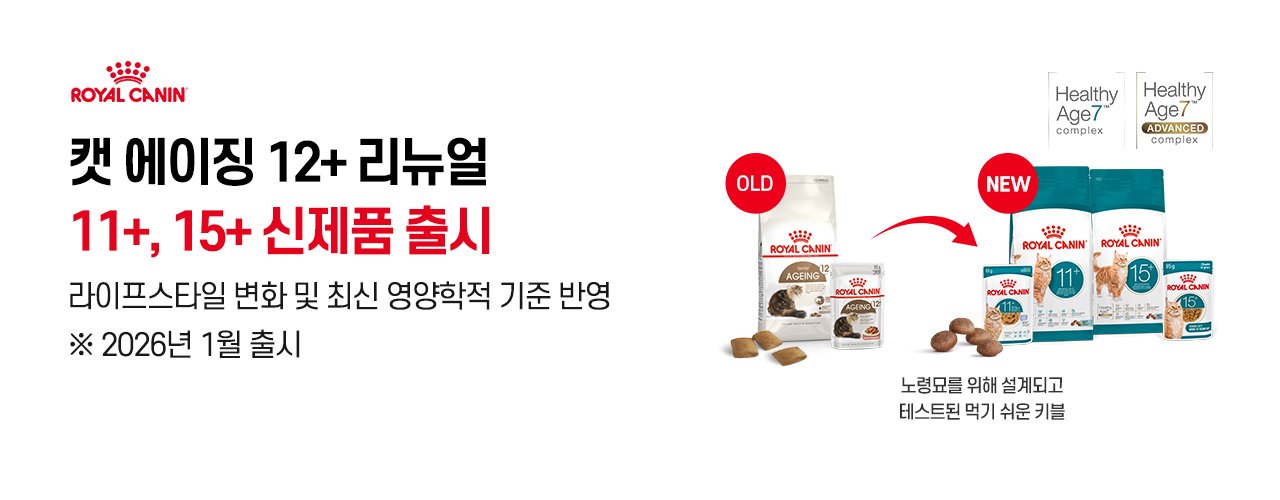 고양이 에이징 신상품