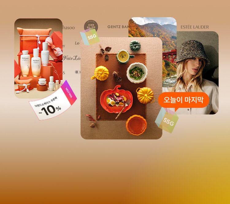 브랜드 쇼케이스 ~10% 쿠폰팩