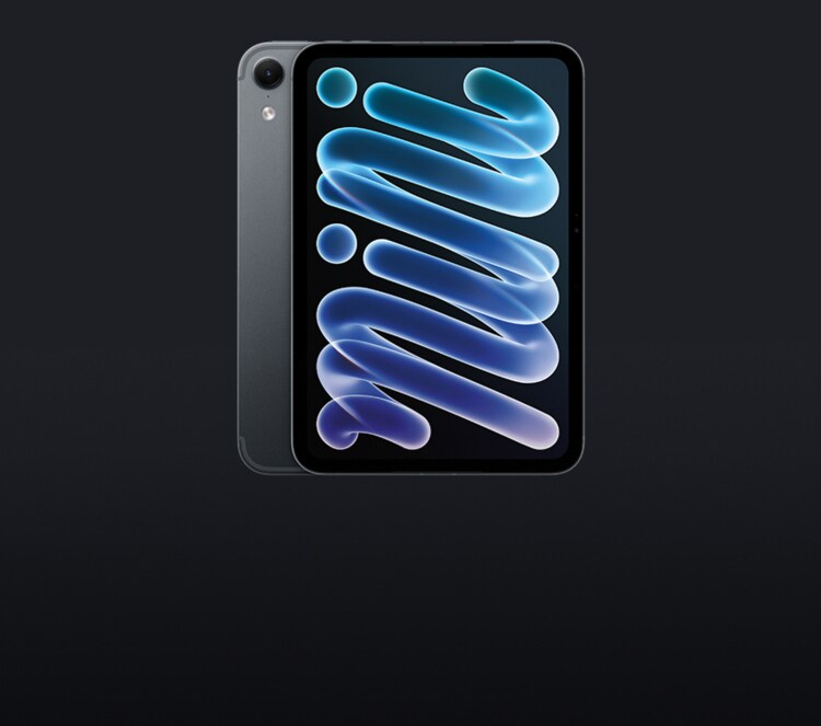 iPad mini 작지 않은 놀라움