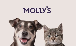 Molly`s (몰리스)