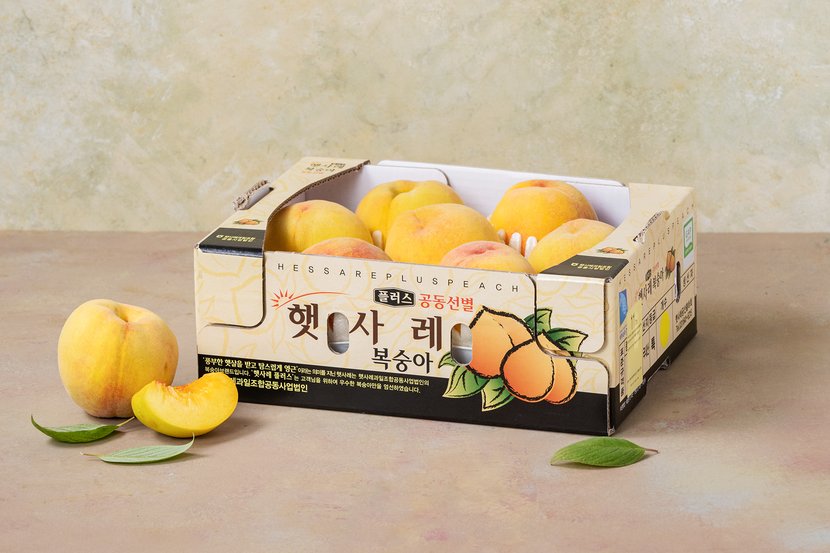 상세이미지2