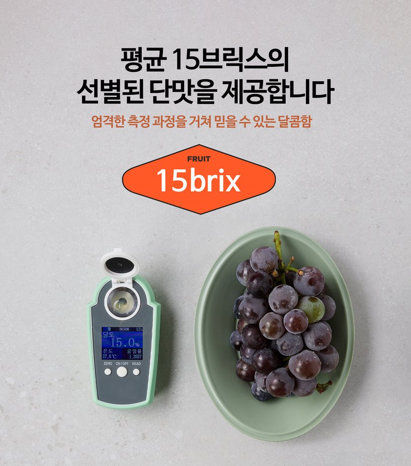 평균 15브릭스의 선별된 단맛을 제공합니다