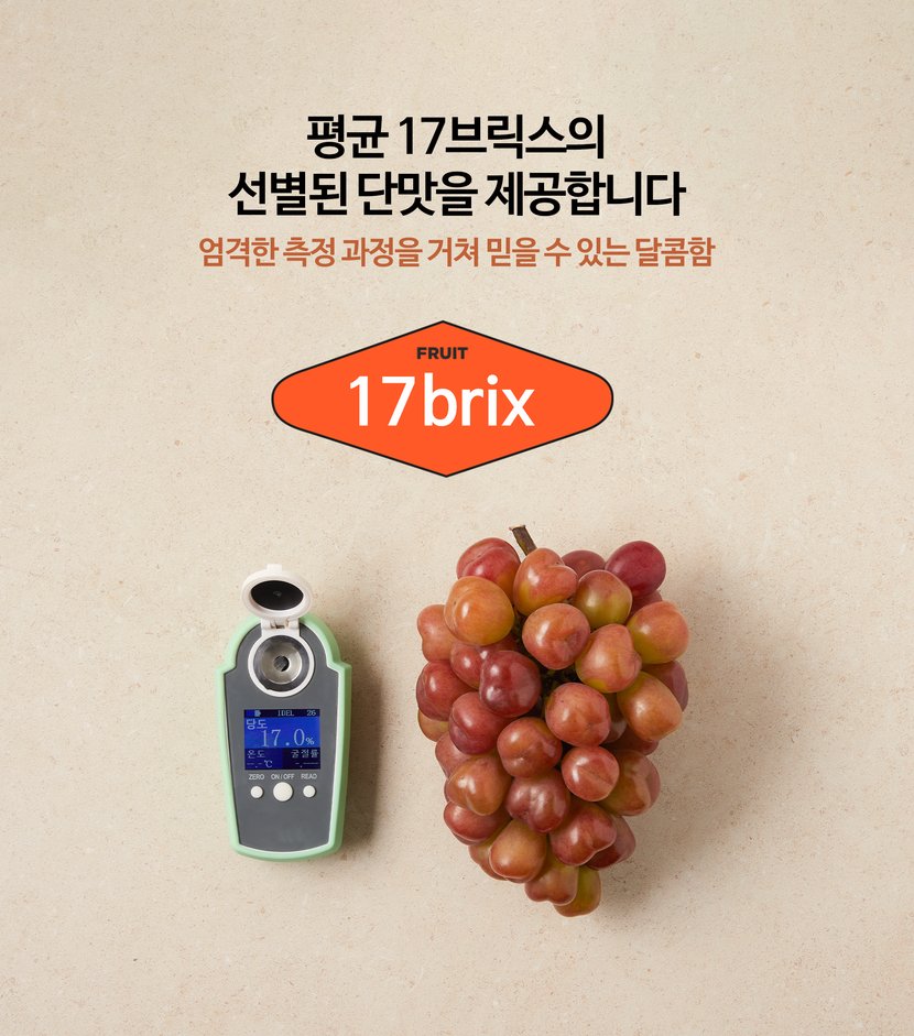 평균 17브릭스의 선별된 단맛을 제공합니다