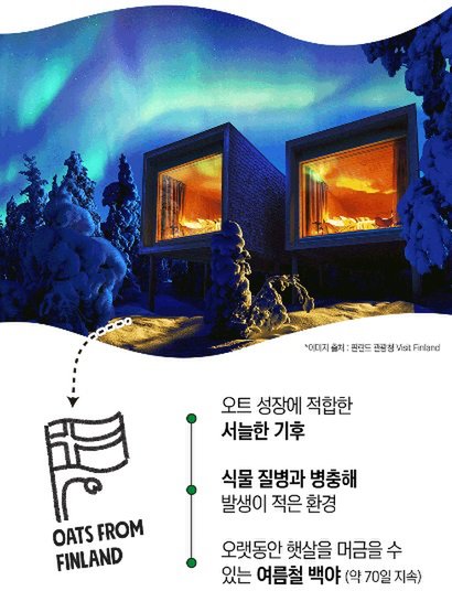 상세이미지3