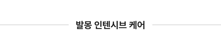 인텐시브
