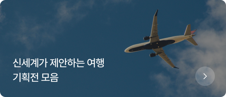 비아 신세계