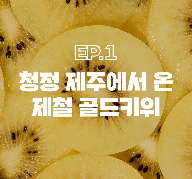 청정 제주에서 온 제철 골드키위