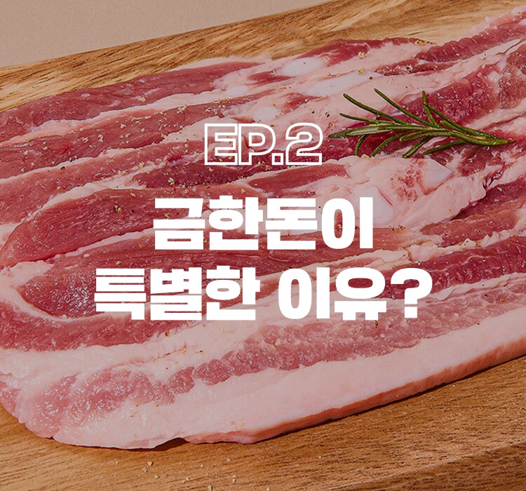 금한돈이 특별한 이유?