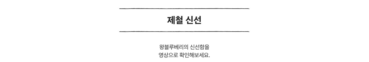 제철 신선