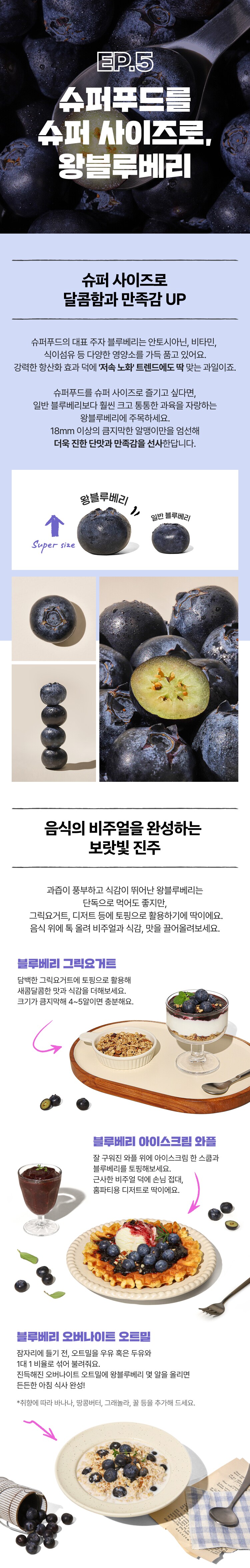 블루베리 설명