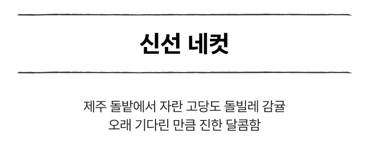 영상 설명