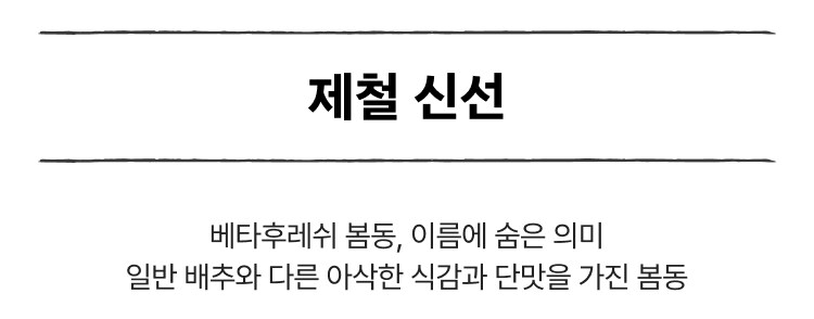 영상 설명