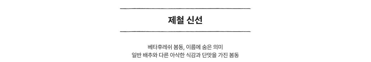 제철 신선