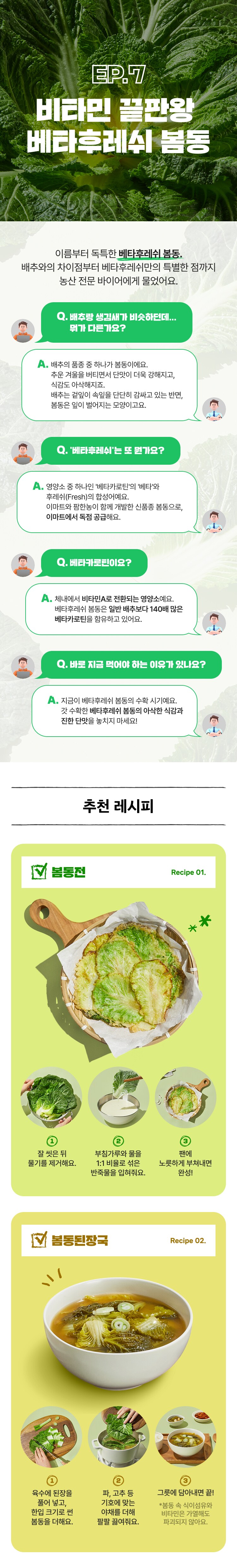 봄동 설명