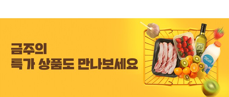 기획전 안내