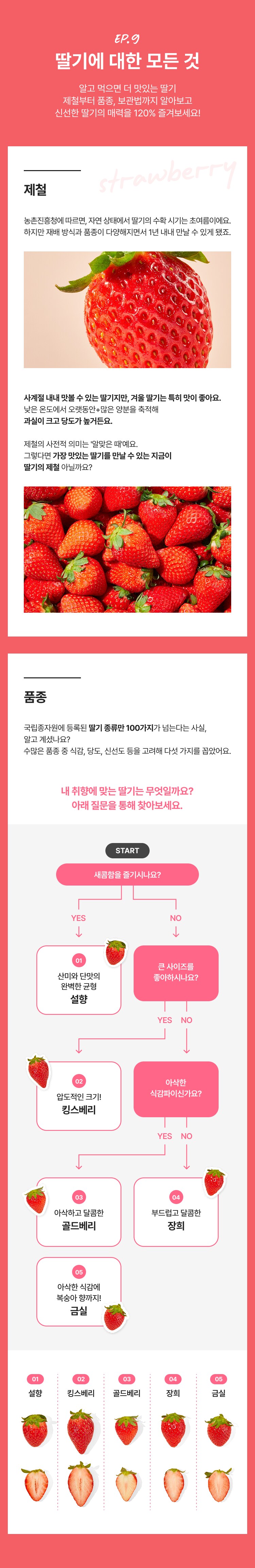 품종 안내