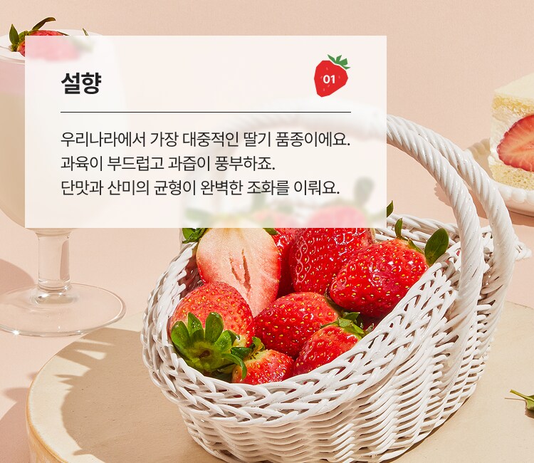 설향