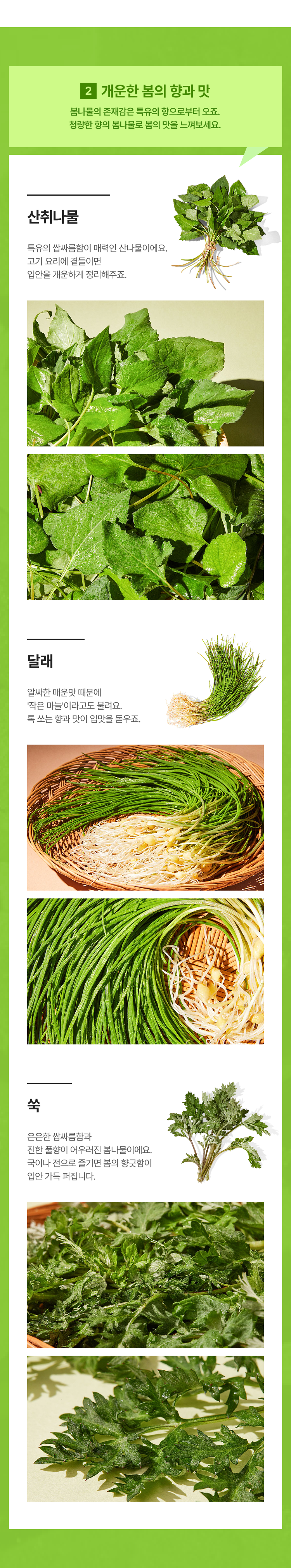 봄나물 소개