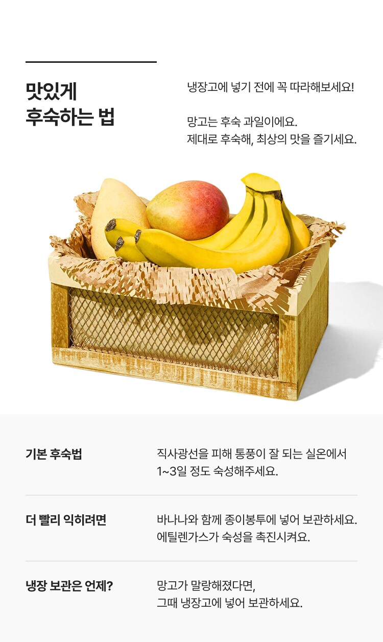 망고 보관법