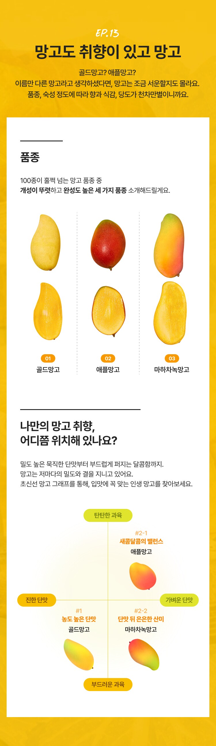 망고 취향 지도