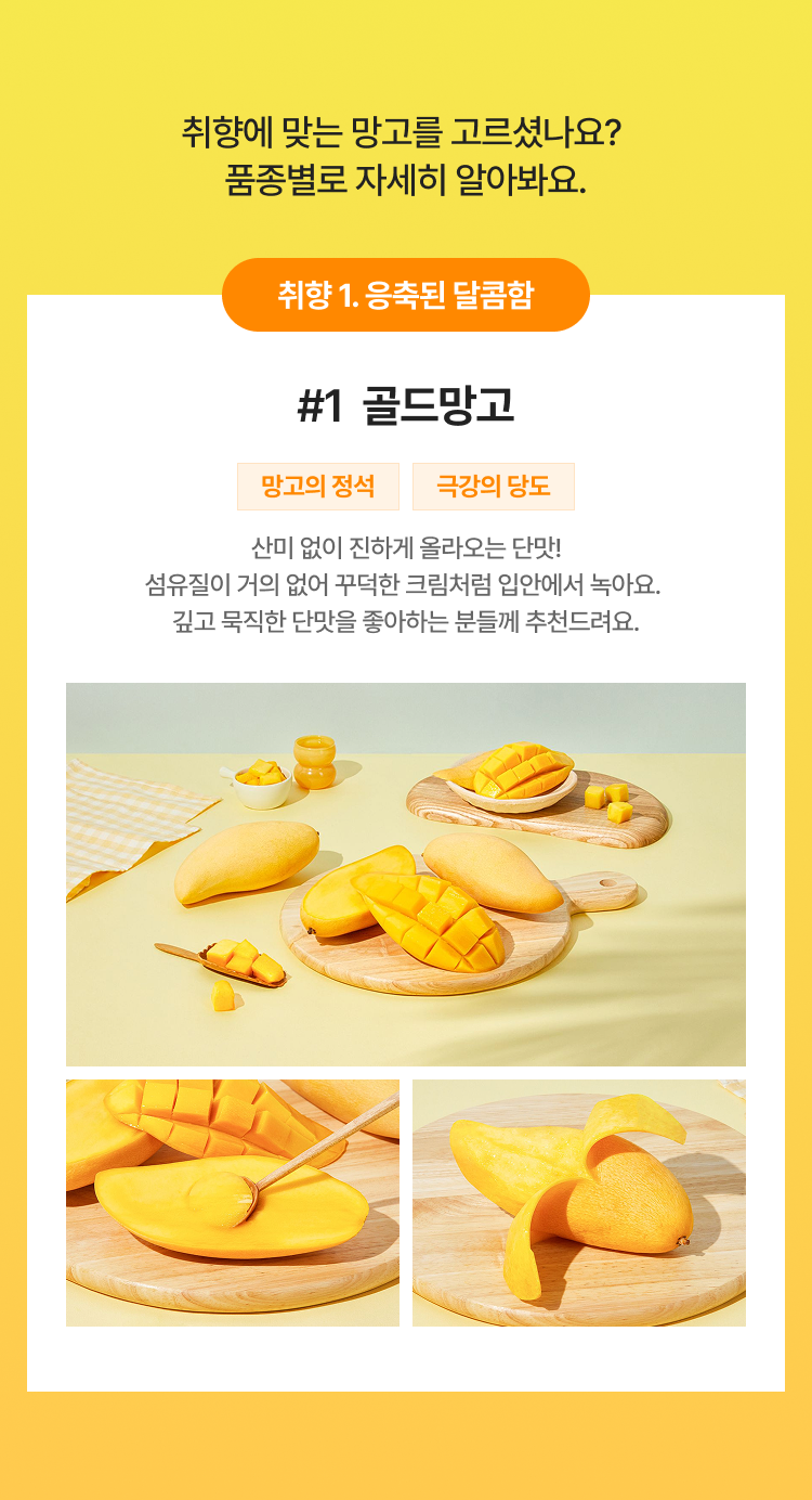 골드 망고 소개