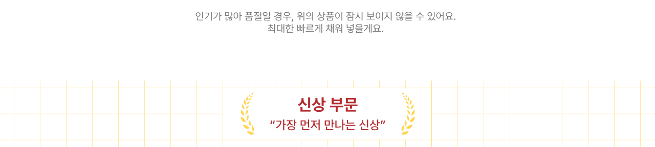 위클리 추천템 - 신상 부문